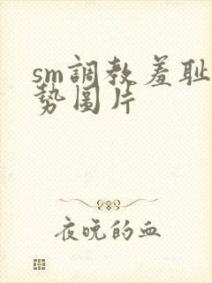 sm调教羞耻姿势图片