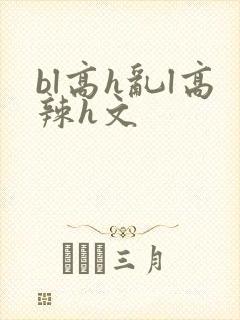 bl高h乱l高辣h文封面