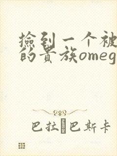 捡到一个被抹布的贵族omega