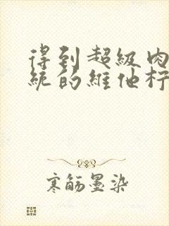 得到超级肉禽系统的维他柠檬茶