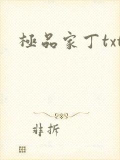 极品家丁txt封面