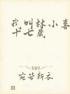 我叫林小喜今年十七岁