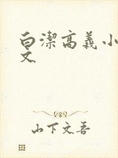 白洁高义小说全文