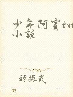 少年阿宾txt小说