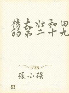 杨大壮和田桂花的第二十九