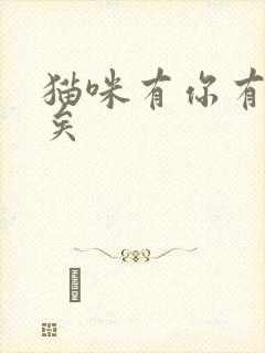 猫咪有你有我足矣