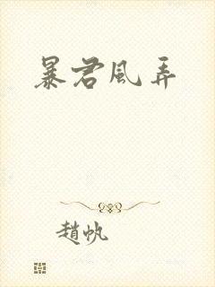 暴君风弄封面