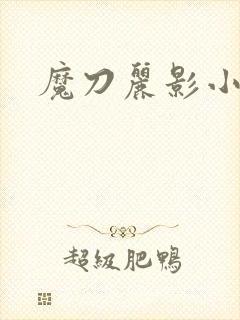 魔刀丽影小说