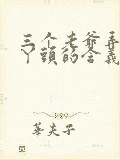 三个老爷弄一个丫头的含义封面