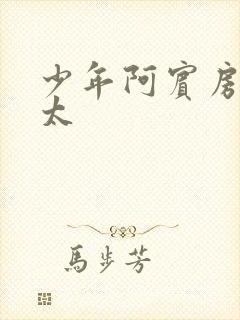 少年阿宾房东太太