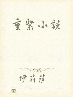 重紫小说
