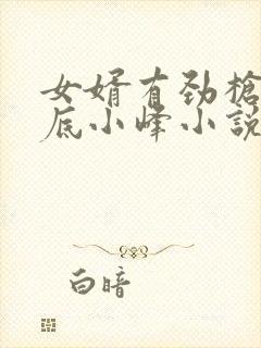 女婿有劲枪枪到底小峰小说封面