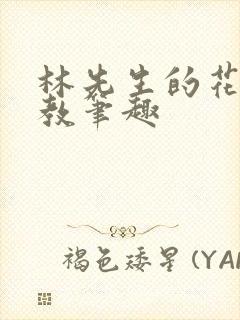 林先生的花式管教笔趣