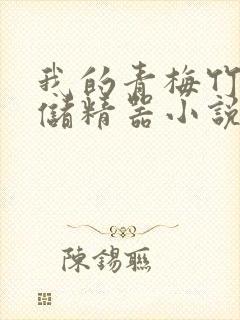 我的青梅竹马是储精器小说