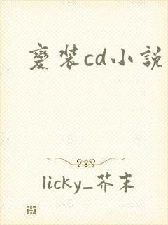 变装cd小说封面