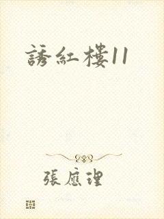 诱红楼11