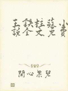 王铁柱苏小汐小说全文免费阅读最新章节封面