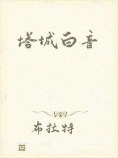 塔城白音封面