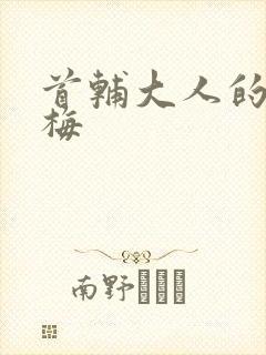 首辅大人的小青梅