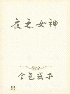 夜之女神