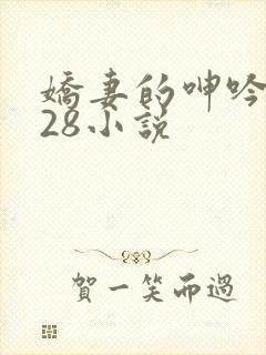 娇妻的呻吟1—28小说