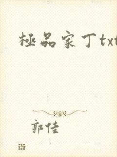 极品家丁txt