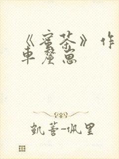 《蜜茶》作者:车厘崽