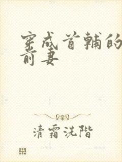 穿成首辅的炮灰前妻