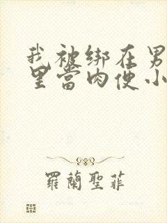 我被绑在男公厕里当肉便小说