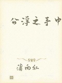 公浮之手中字5