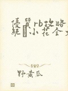 优质rb攻略系统寀小花全文免费阅读