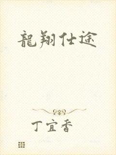龙翔仕途