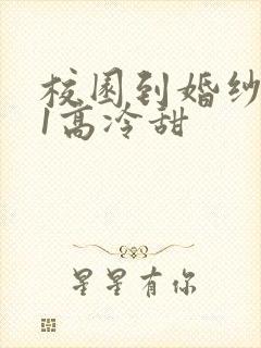 校园到婚纱1V1高冷甜