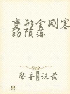 变形金刚塞伯坦的陨落封面