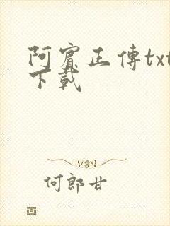 阿宾正传txt下载