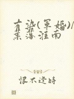 有染(军婚)/叶落淮南