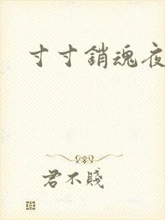 寸寸销魂夜春光