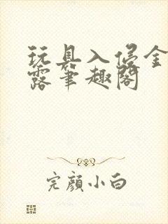 玩具入侵金银花露笔趣阁封面