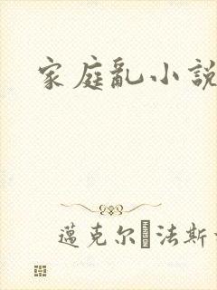 家庭乱小说