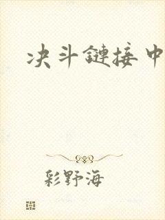 决斗链接中文网封面