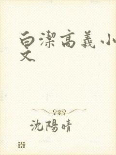 白洁高义小说全文