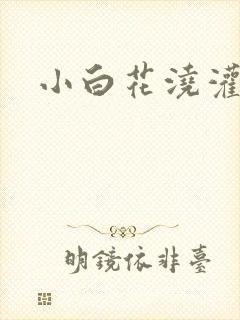 小白花浇灌日常