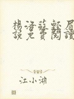 杨洛苏轻眉笔小说免费阅读