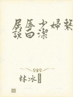 屈辱少妇系列小说白洁封面