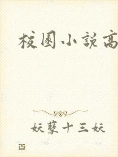 校园小说高h封面