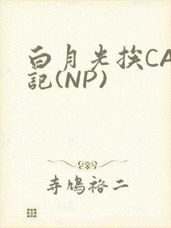 白月光挨CAO记(NP)