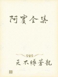 阿宾全集