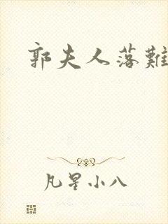 郭夫人落难记封面