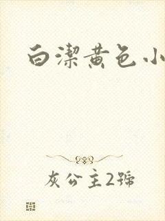 白洁黄色小说
