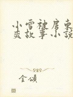 小雪被房东的好爽故事小说